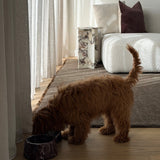 Rosso Levanto Marble Pet Bowl | Pre-order